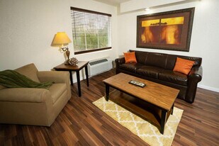245 Jess-Jo Pkwy in Branson, MO - Building Photo
