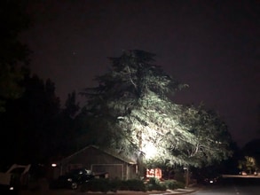 906 Sycamore Ln in Davis, CA - Building Photo - Building Photo