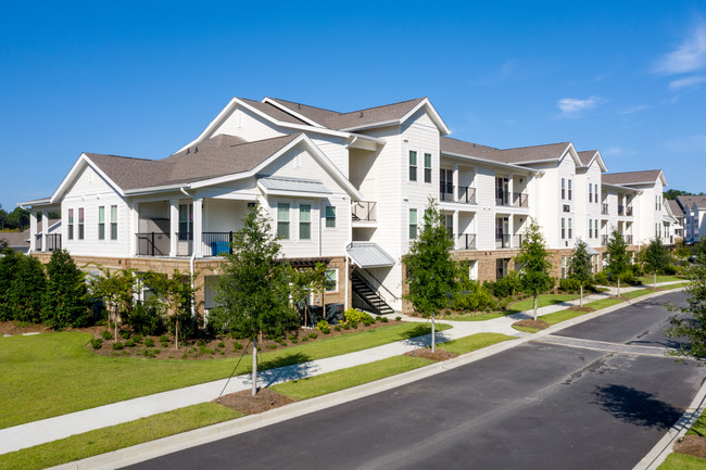 The Grove at Carolina Park in Mount Pleasant, SC - Building Photo - Building Photo