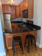 450 W Briar Plz, Unit 8E in Chicago, IL - Foto de edificio - Building Photo