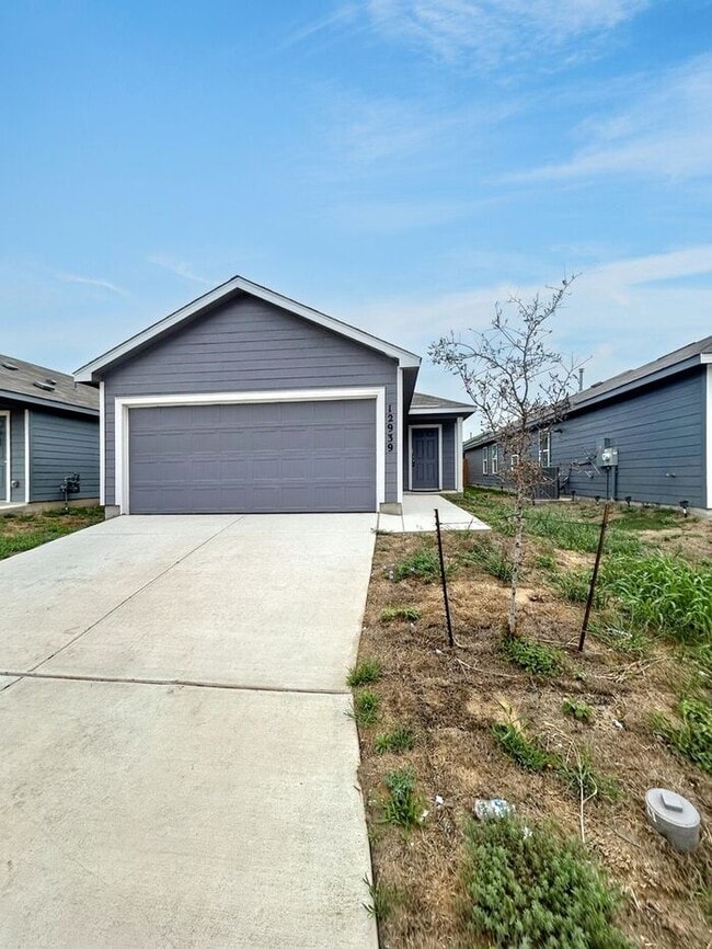 12939 Hancock Pool in Saint Hedwig, TX - Building Photo - Building Photo