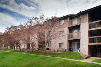 Park Avenue by Broadmoor in Des Moines, IA - Foto de edificio - Building Photo