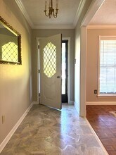 335 Alexander Cove in Collierville, TN - Building Photo - Building Photo