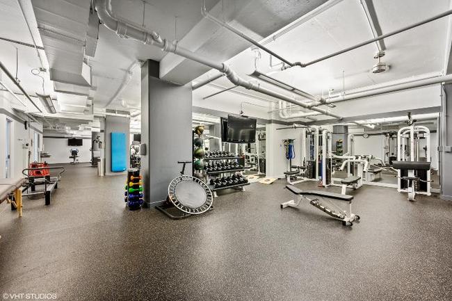 250 E Pearson St in Chicago, IL - Building Photo - Building Photo