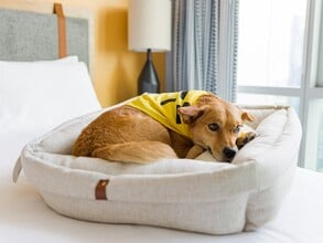 Sentral First Hill in Seattle, WA - Foto de edificio - Building Photo