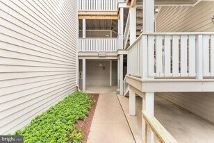 14309 Climbing Rose Way in Centreville, VA - Building Photo