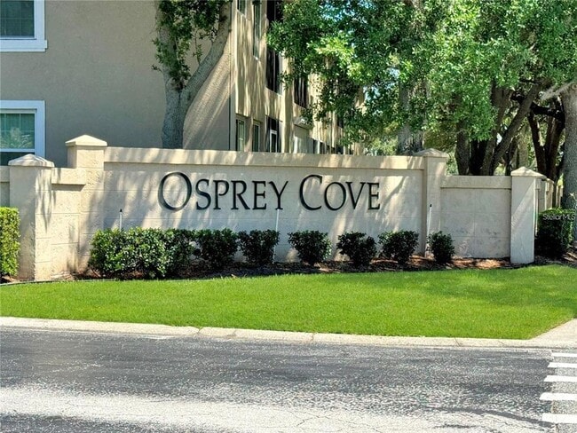 2856 Osprey Cove Pl in Kissimmee, FL - Building Photo - Building Photo