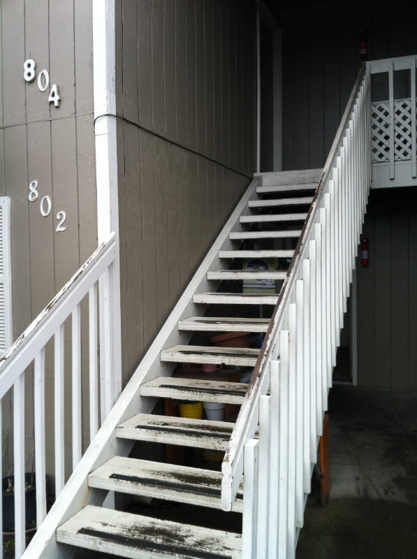 804 22nd St NE in Auburn, WA - Building Photo - Building Photo