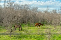 Apartamentos en Mansfield, TX