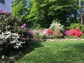 71 Elm Pl in New Canaan, CT - Building Photo - Building Photo