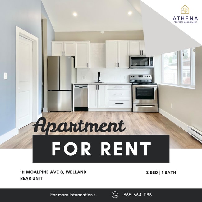 property at 111 McAlpine Ave S