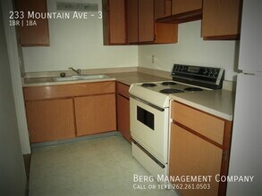 233 Mountain Ave-Unit -3 in Waukesha, WI - Building Photo - Building Photo