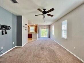 8922 Moonlit Meadows Loop in Riverview, FL - Building Photo - Building Photo
