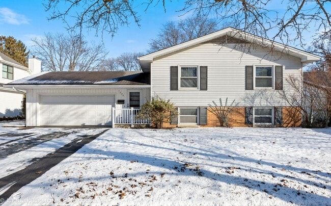 property at 1028 Douglas Ave
