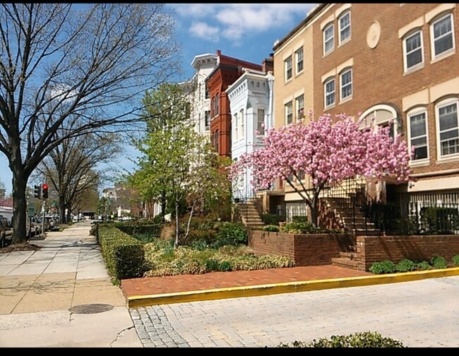property at 236 Maryland Ave NE