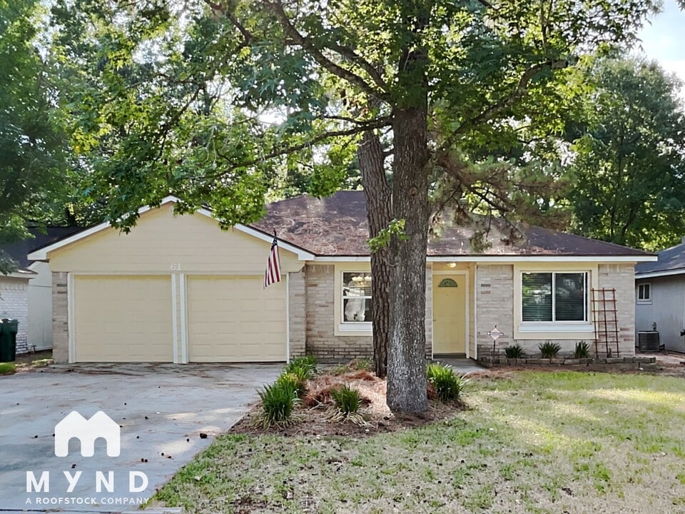 61 S Circlewood Glen in Spring, TX - Building Photo