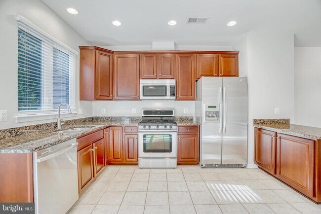 22442 Snow Powder Terrace in Ashburn, VA - Building Photo - Building Photo