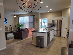 2036 Day Spring Dr in Windsor, CO - Building Photo - Building Photo