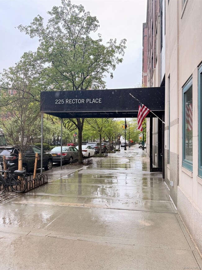 property at 225 Rector Pl