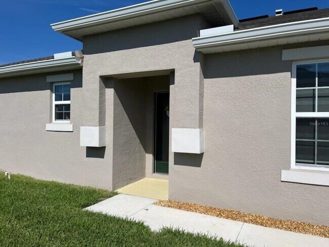 17890 Turning Leaf Cir in Land O Lakes, FL - Building Photo - Building Photo