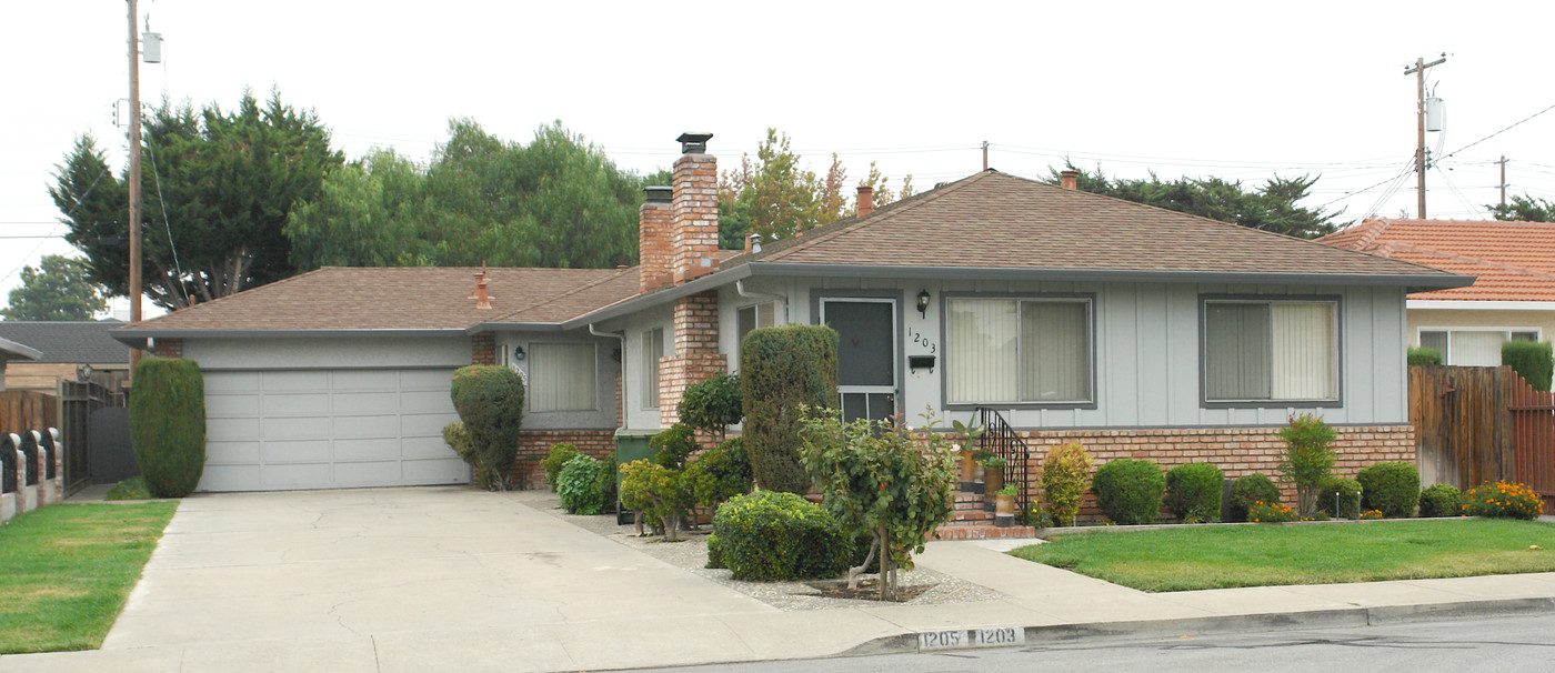 1203-1205 Alice Dr in Santa Clara, CA - Building Photo