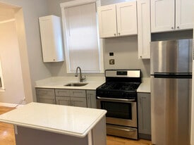 2156 W 18th Pl in Chicago, IL - Building Photo