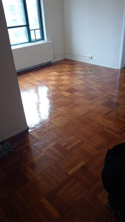 1439 McGraw Ave in Bronx, NY - Building Photo - Building Photo