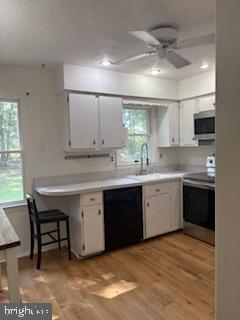 property at 11 Fox Sparrow Turn