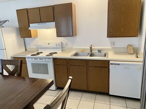 1918 Castle Gate Cir in San Marcos, TX - Building Photo - Building Photo