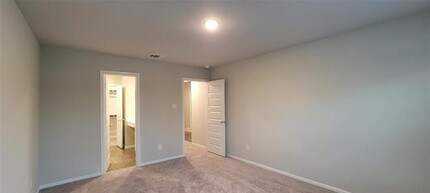 1419 Vinewood St in Celina, TX - Building Photo - Building Photo