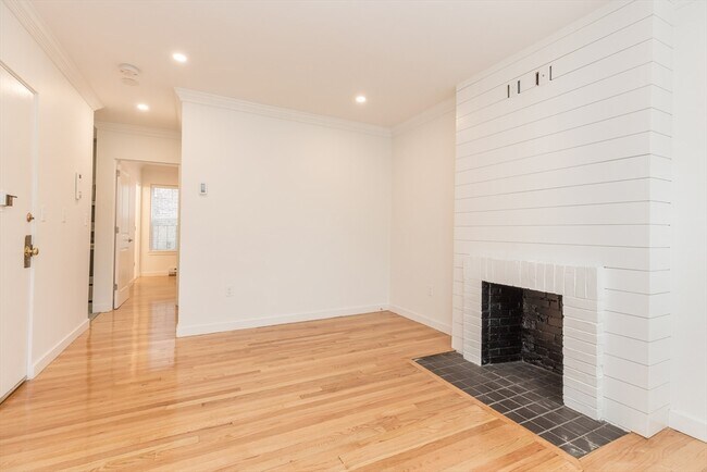 103 W Springfield St, Unit 3 in Boston, MA - Building Photo - Building Photo