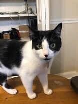 115 S Lois Ave in Tampa, FL - Building Photo