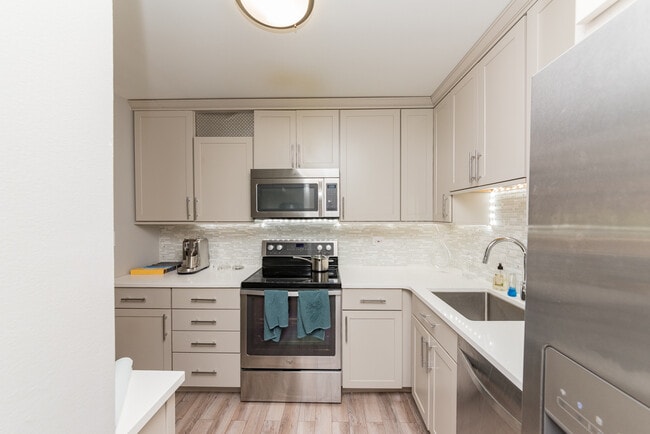 211 E Ohio St in Chicago, IL - Building Photo - Building Photo