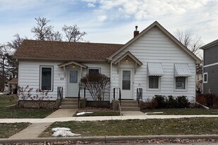 717 Warner Ave in Lemont, IL - Building Photo