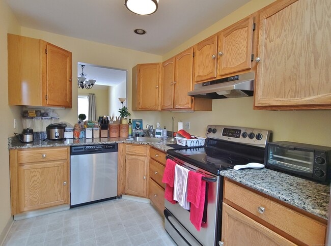 141 Courtyard Ln in Mansfield, CT - Building Photo - Building Photo