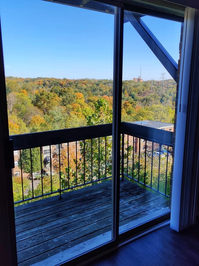 The Views of Mt Airy