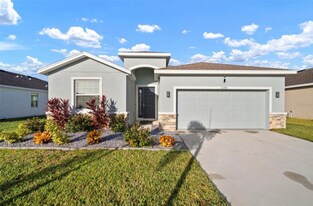 16784 Glacier Bay Loop in Wimauma, FL - Building Photo