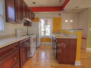 211 5th St SW in Charlottesville, VA - Building Photo - Building Photo