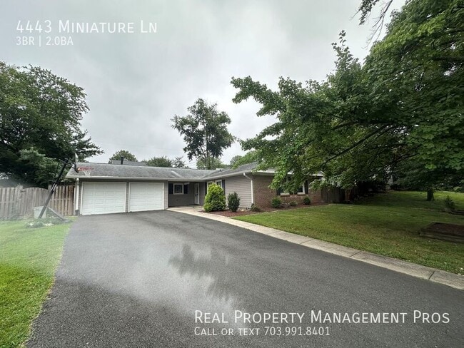 property at 4443 Miniature Ln