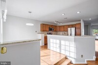 13111 Misty Glen Ln in Fairfax, VA - Building Photo - Building Photo