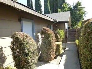 5 Garden Apartment Units in Visalia, CA - Building Photo - Building Photo