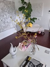 5267 Fountainhead Ln in Knoxville, TN - Building Photo - Building Photo