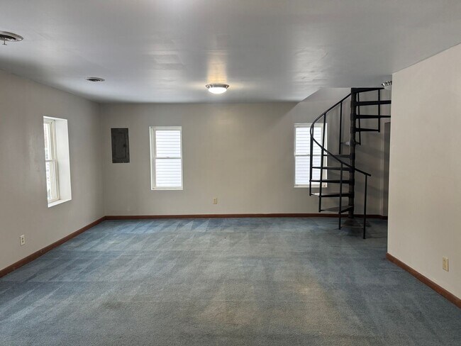 207 E Oak St in Carbondale, IL - Building Photo - Building Photo