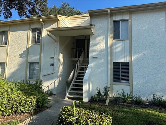 207 Palmetto Ct in Oldsmar, FL - Building Photo - Building Photo