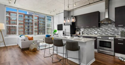1135 S Delano Ct in Chicago, IL - Building Photo - Building Photo