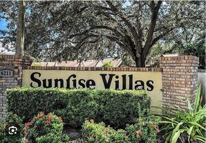 3404 Sunrise Villas Ct N in Tampa, FL - Building Photo