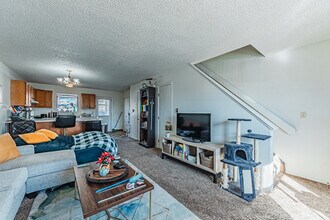 6970 Peyote Way in Colorado Springs, CO - Building Photo - Building Photo