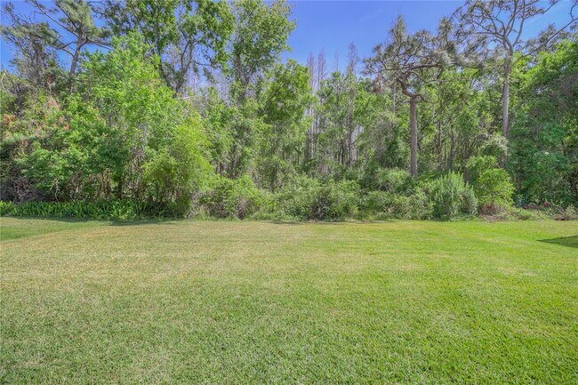 20513 Sultana Ct in Tampa, FL - Building Photo - Building Photo