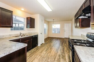 18827 Treviso Terrace Ln in Katy, TX - Building Photo - Building Photo