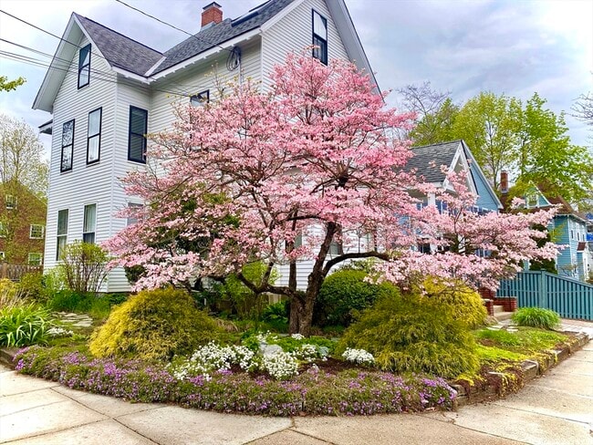 209 Walnut St in Newton, MA - Building Photo - Building Photo